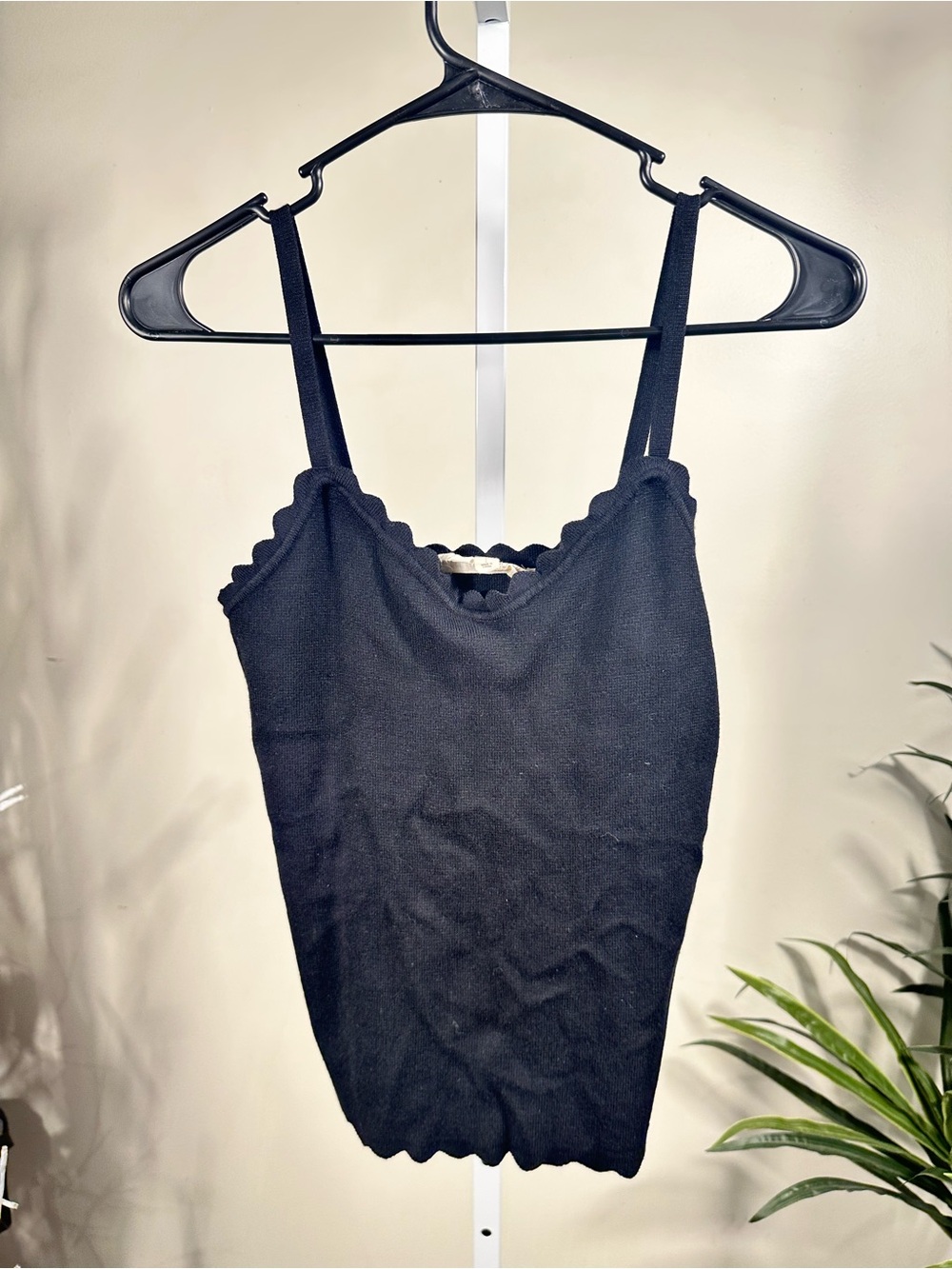 N240. Sweet Wanderer Black Scallop-Edge Ribbed Camisole